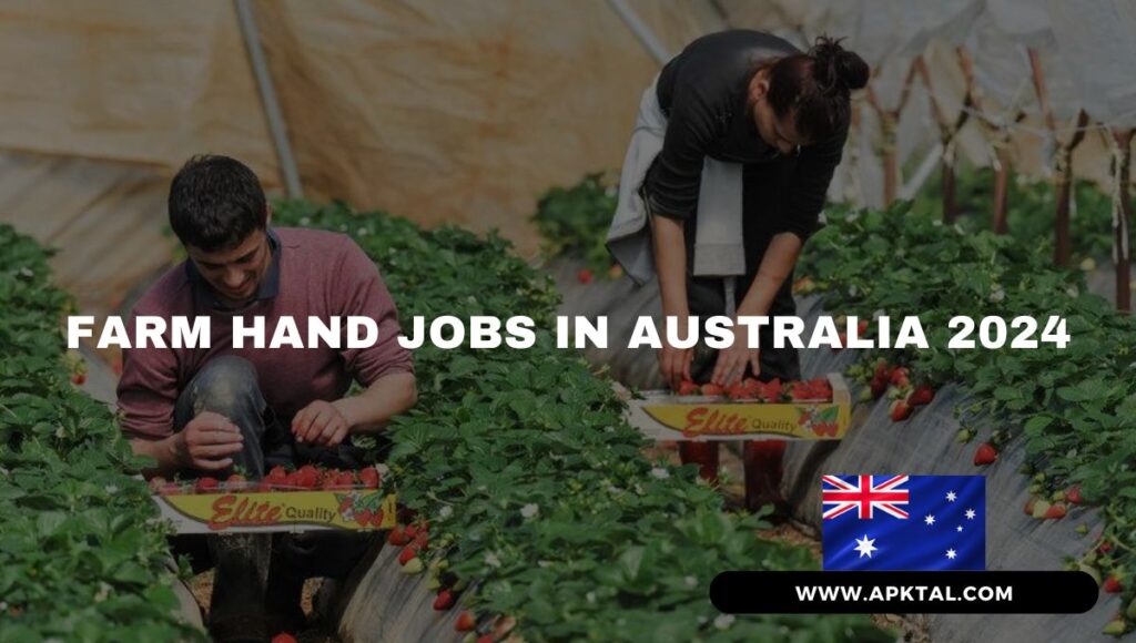 Farm Hand Jobs in Glenworth Valley NSW – Visa Sponsorship Available (2024)