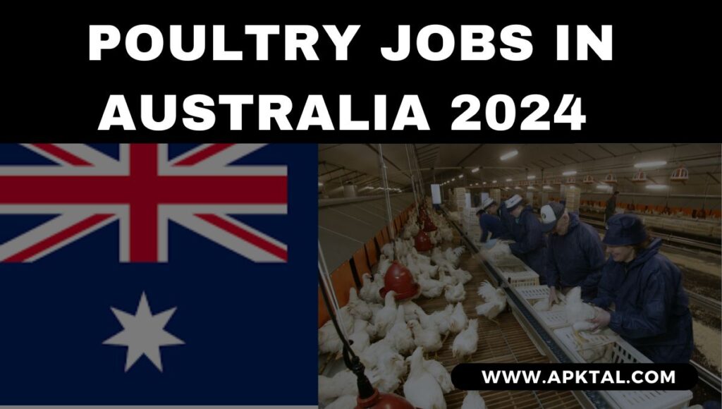 Exciting Poultry Jobs in Australia 2024