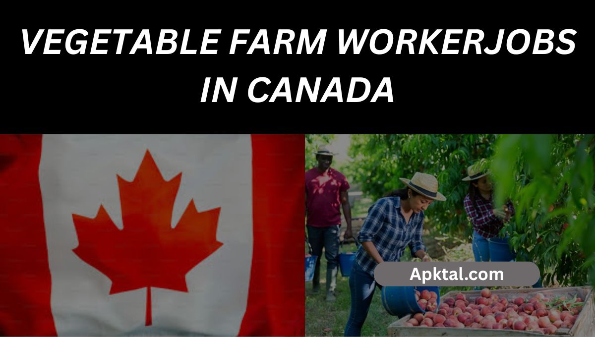 Vegetable Farm Worker Jobs in Canada – $17.51/Hour | Seasonal 2025 Hiring