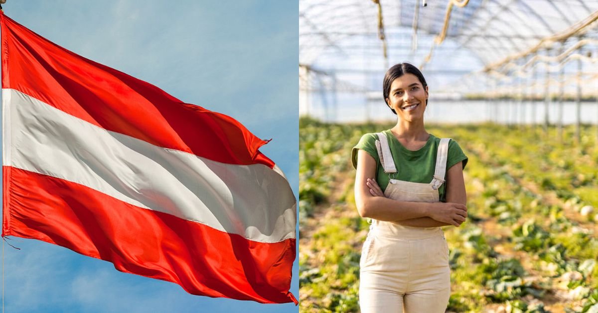 Austria Skilled Worker Visa: Requirements and Application 2026