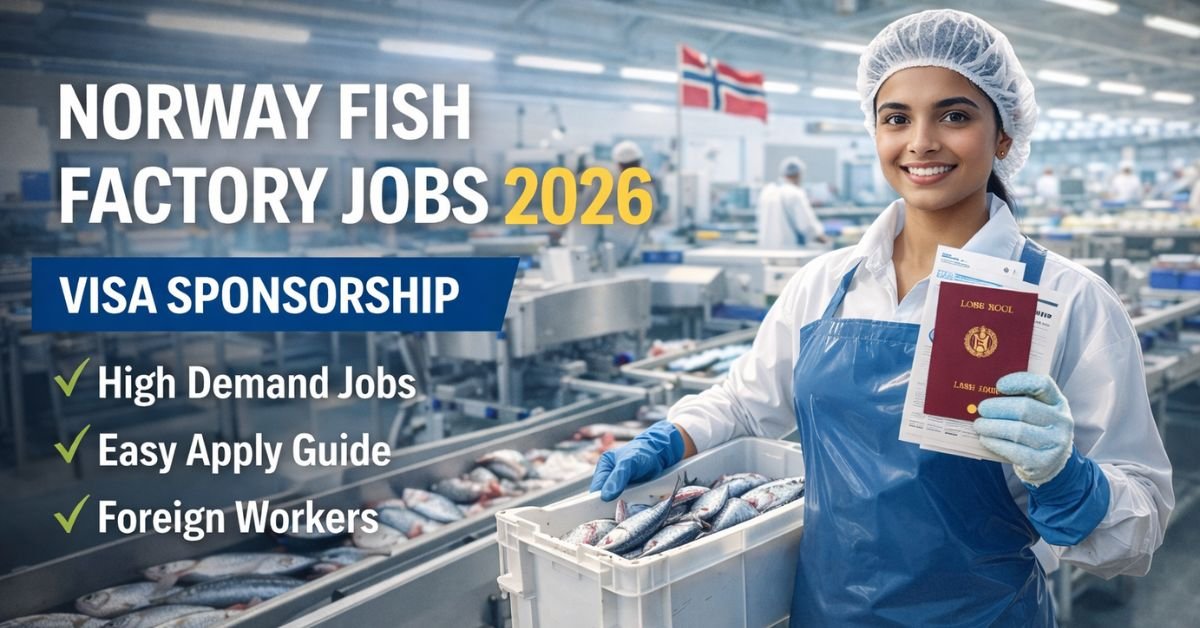 Fish Factory Jobs in Norway 2026